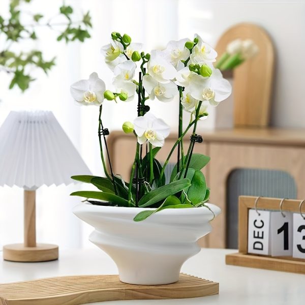 Modern Spiral Wind Three color Ceramic Flower Pot (sub whiteu002Fmilitary greenu002Fsub lemon chiffon) - Indoor and Outdoor Universal with Drainage Holes