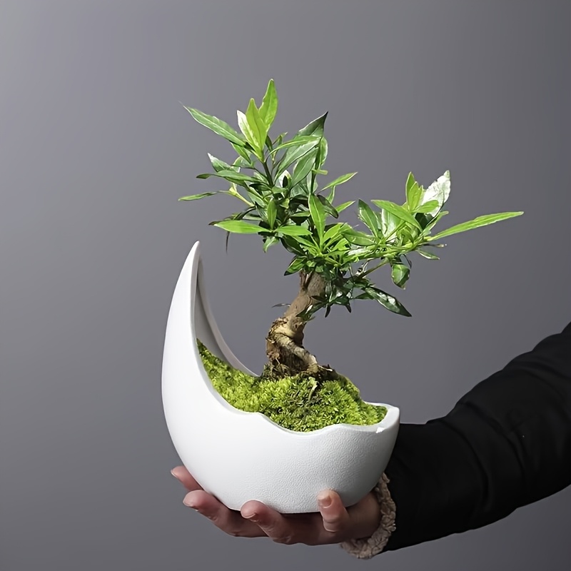 1pcu002F2pcs Zen Bonsai Planter, Crescent Ceramic Flower Pot, Desktop Ornamental Planter, Pepper Tree Old Stump Landscape Pot Gardening Gift,home Decor