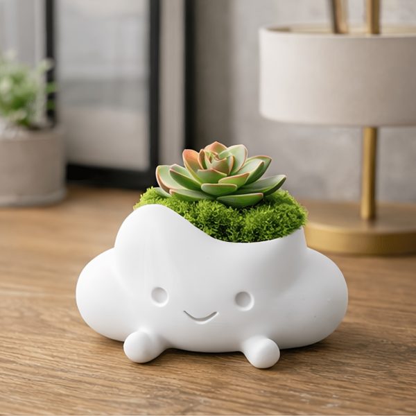 Cute Cloud Mini Succulent Planter Pot, Small Smiling Face Plant Pot for Desk Decor, Tiny Flower Pot for Cactus Succulent Plants Gardening Gift,home Decor