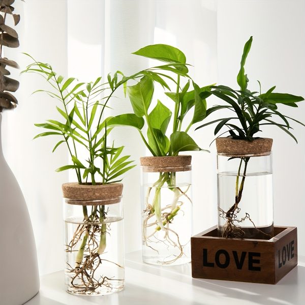 1pc, Hydroponics Plants Desktop Glass Planter Vase for Home Decoration, Plant Propagation Station Bud Vase, Desktop Hydroponics Plant Vases for Living Room Table Decoration Kitchen Office