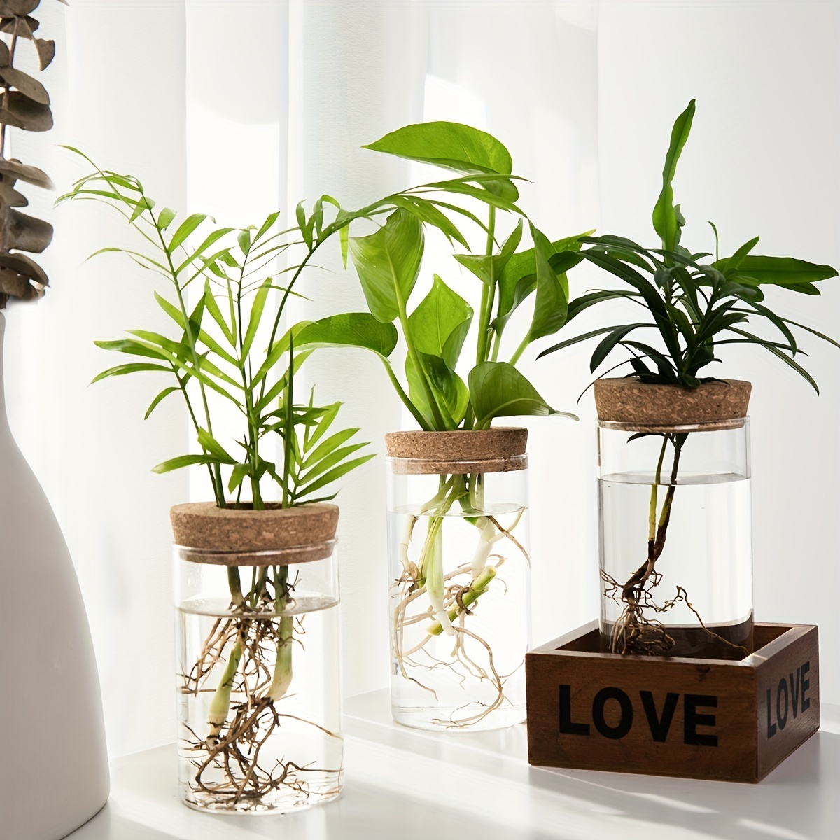 1pc, Hydroponics Plants Desktop Glass Planter Vase for Home Decoration, Plant Propagation Station Bud Vase, Desktop Hydroponics Plant Vases for Living Room Table Decoration Kitchen Office