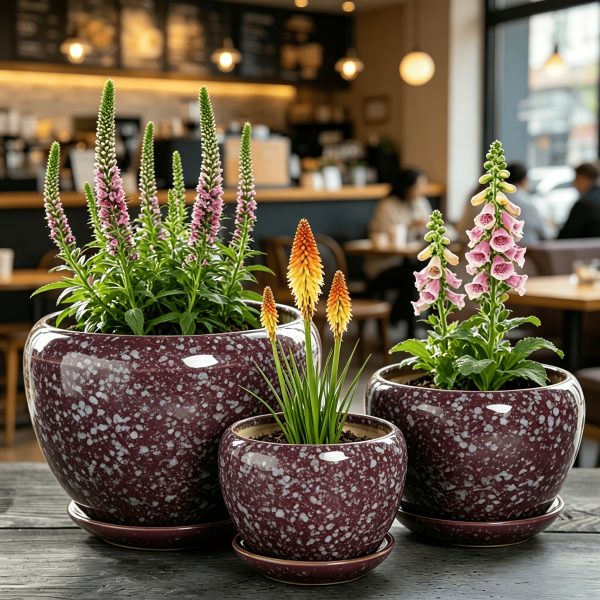 Set of 3 Vintage Kiln Glazed Ceramic Flower Pots with Red And White Speckles, Drainage Holes And Saucers, Succulent And Green Plant Planters, Gifts for Christmas And New Year, Home And Cafe Decor (Plants Not Included) gardening gift home decor